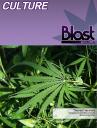 Blast Magazine, May, 2007, culture page