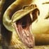 deadly-creatures-thumb