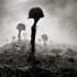 callofdutyworldatwar_590_logo callofdutyworldatwar_590_logo