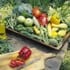 earthtalkorganicveggies_70