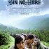 sin_nombre sin_nombre