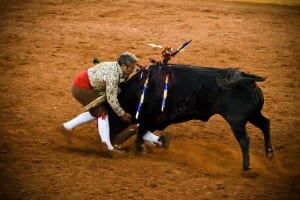 _mg_0422t