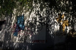 _mg_1352t