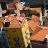 _mg_2256t