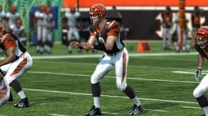Carson Palmer