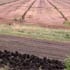 earthtalkpeatlands_70 earthtalkpeatlands_70