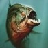 piranha-3d