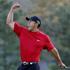 tigerwoods tigerwoods