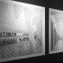 _MG_9003t