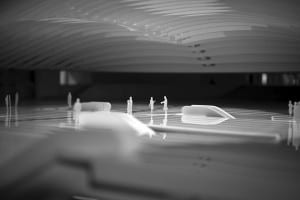 _MG_9018t