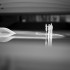 _MG_9019t