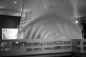 _MG_9035t