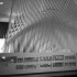 _MG_9035t