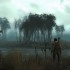 Swamp Swamp