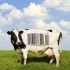 food inc