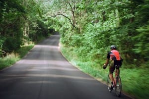 A biker out enjoying the bending roads