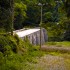 Attack at Goose Creek Bridge circa 1803