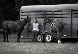 Horse country