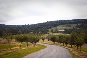 View of a winery