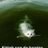 lol4 lol4