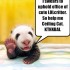 lol6 lol6