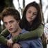 twilight-still-staring