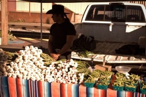 _MG_0408t