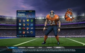 Team customization2
