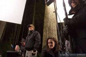 Kristen Stewart and a tree