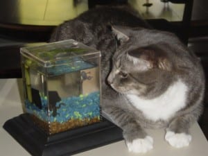BuddyandtheFrogsKEEPER