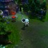 Tristana4