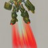 th_DvR_MachineZero