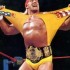 233315-hulk_hogan___ripping_shirt_as_champ___copy_large