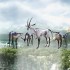 500x_ff142