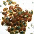 bedbugs_ew