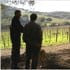 winery winery