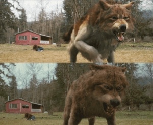 wolfbeforeafter-560x460