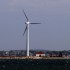 Wind turbines like this one in Hull might not be the answer (Media credit/dsearls via Flickr)