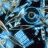 EarthTalkPlankton1
