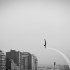 _MG_7100 _MG_7100