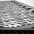 _MG_7132 _MG_7132