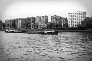 _MG_7204