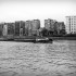 _MG_7204 _MG_7204