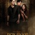new-moon-poster
