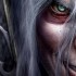 500x_arthas_610_1260270946