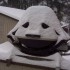 IMG00052 IMG00052