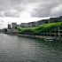 _MG_6805