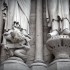 _MG_6912