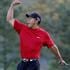 TigerWoods