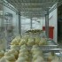 cupcakes_4 cupcakes_4